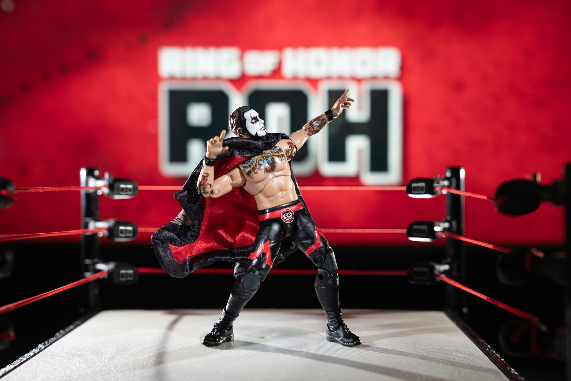 AEW-ROH-DTC-DANHAUSEN-12011416ringupdate2-lpr.jpg