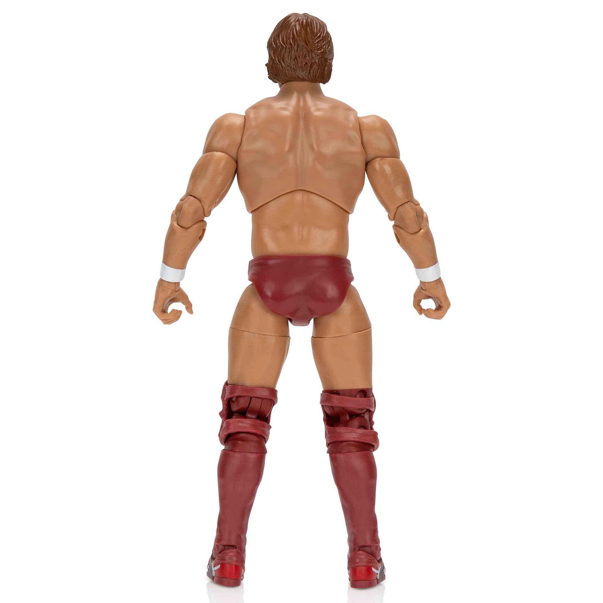 AEW0560-AEW-BryanDanielson-TheVaultDTC-OP-Back-lpr.jpg