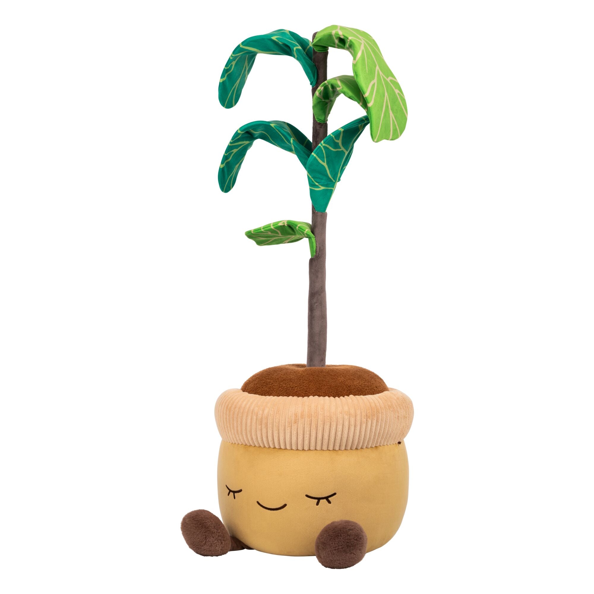 JPGOutput-RBGH00120_48inFiddleTreeSIOC_OP3QL.jpg