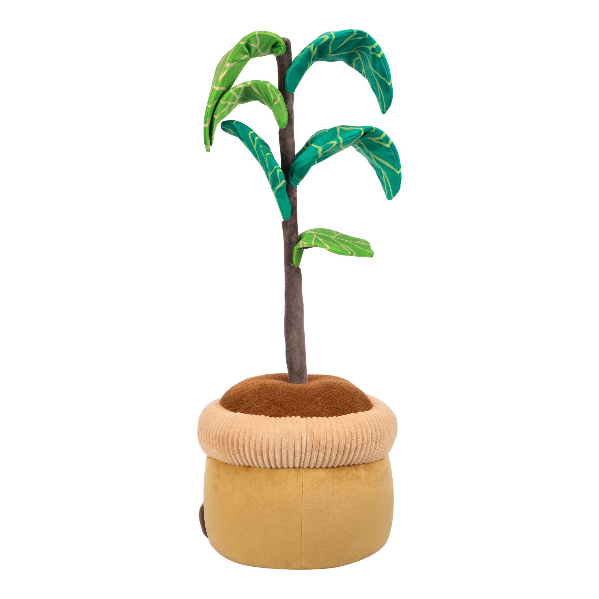 JPGOutput-RBGH00120_48inFiddleTreeSIOC_OPB.jpg