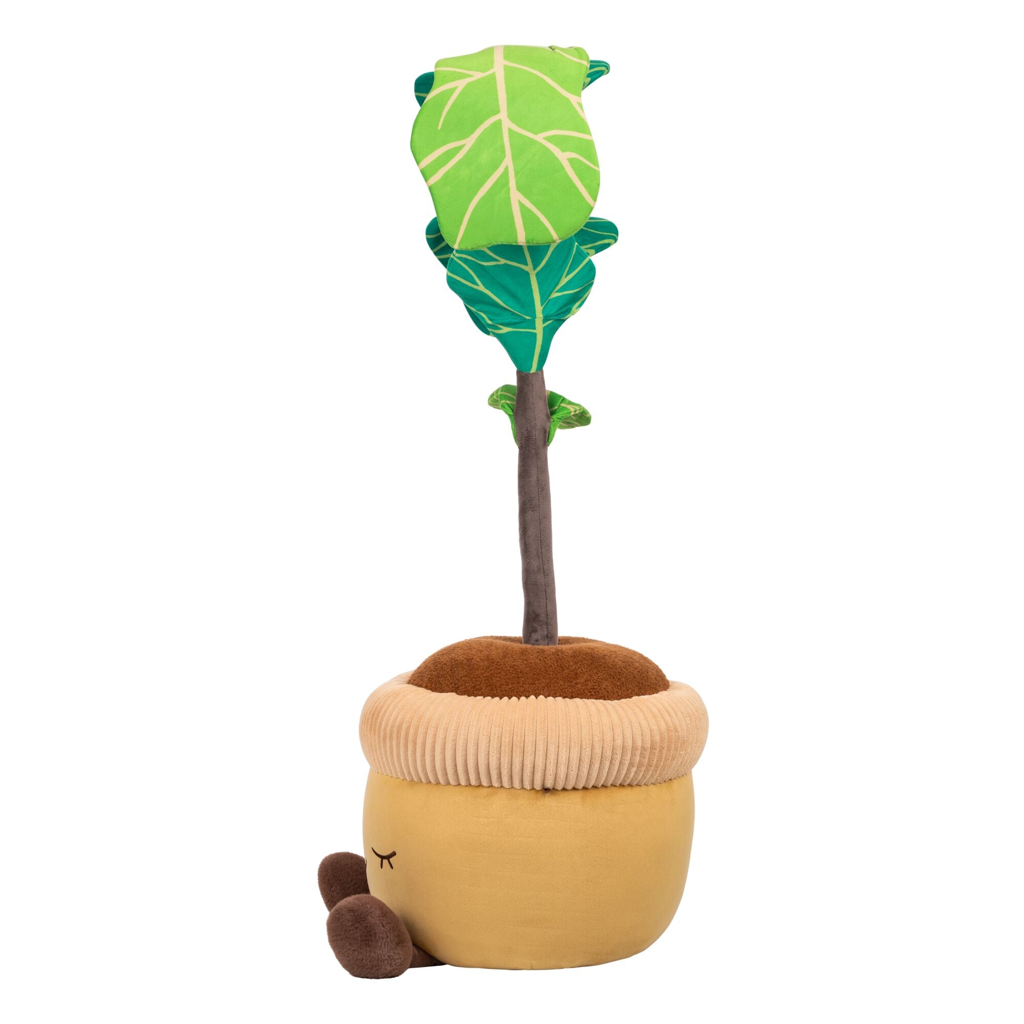 JPGOutput-RBGH00120_48inFiddleTreeSIOC_OPSL.jpg
