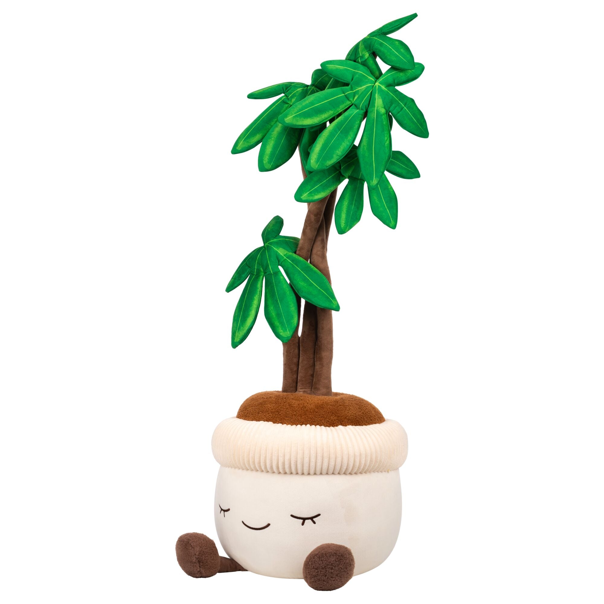 JPGOutput-RBGH00122_48inMoneyTreeSIOC_OP3QL.jpg