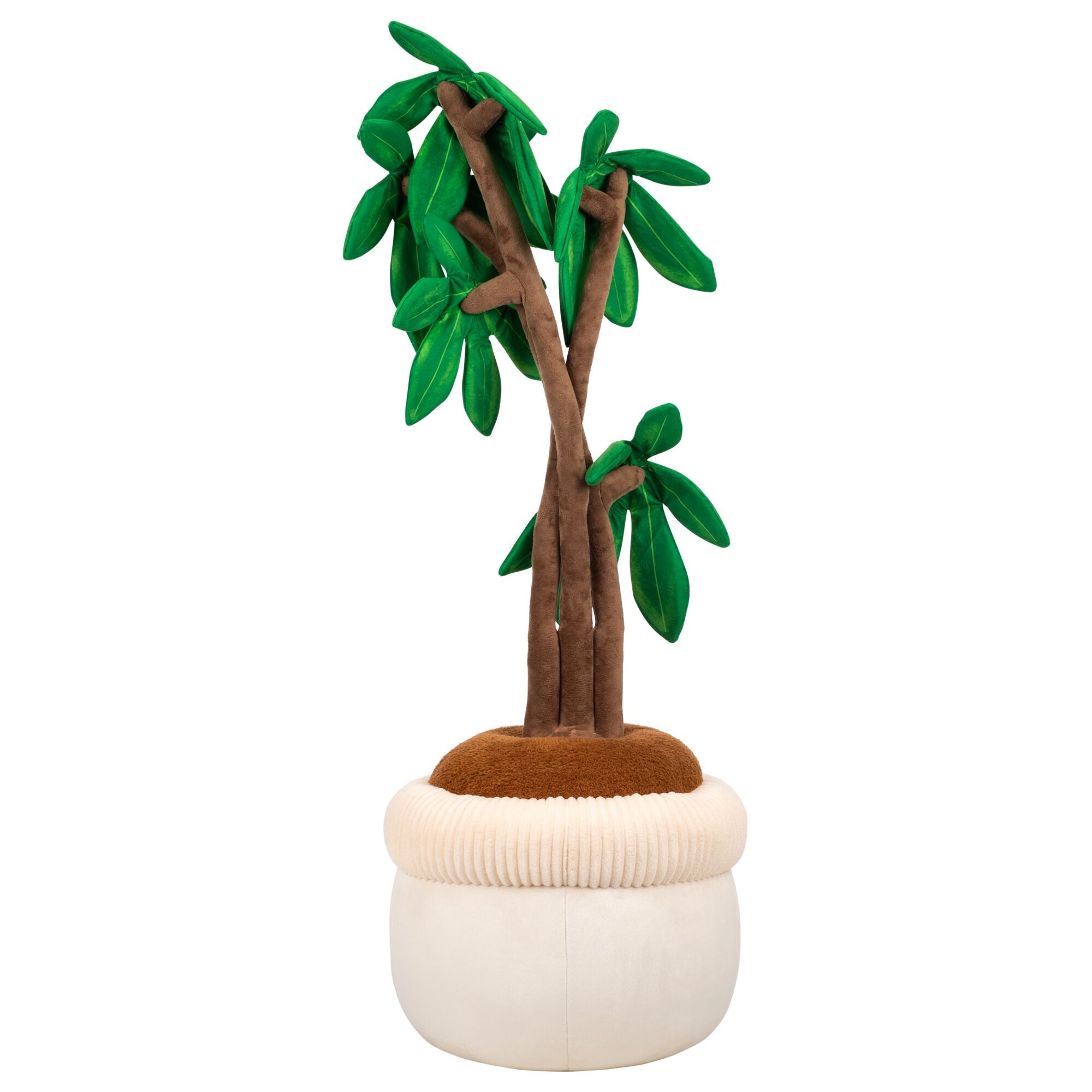 JPGOutput-RBGH00122_48inMoneyTreeSIOC_OPB.jpg