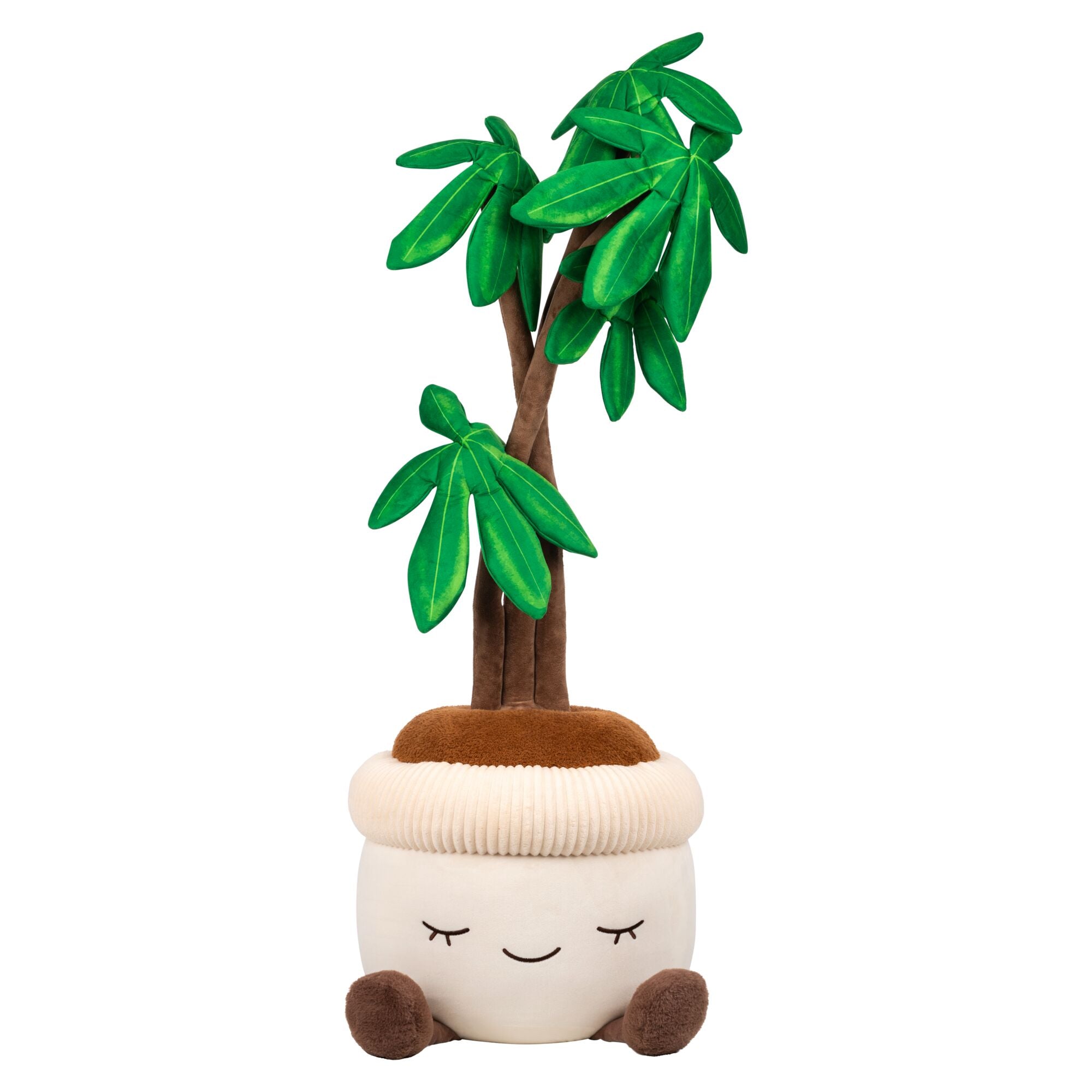 JPGOutput-RBGH00122_48inMoneyTreeSIOC_OPF.jpg