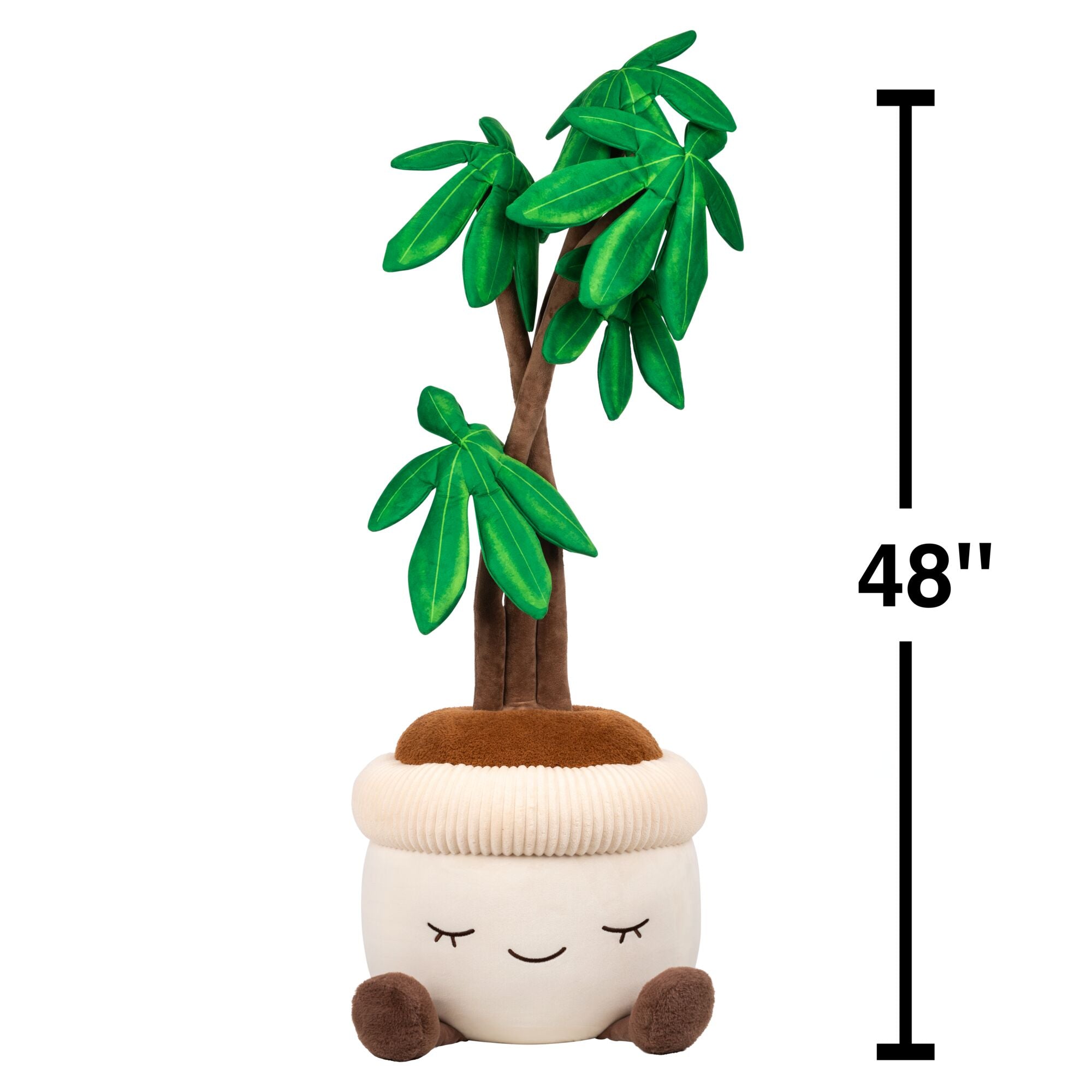 JPGOutput-RBGH00122_48inMoneyTreeSIOC_OPF_Scaled.jpg