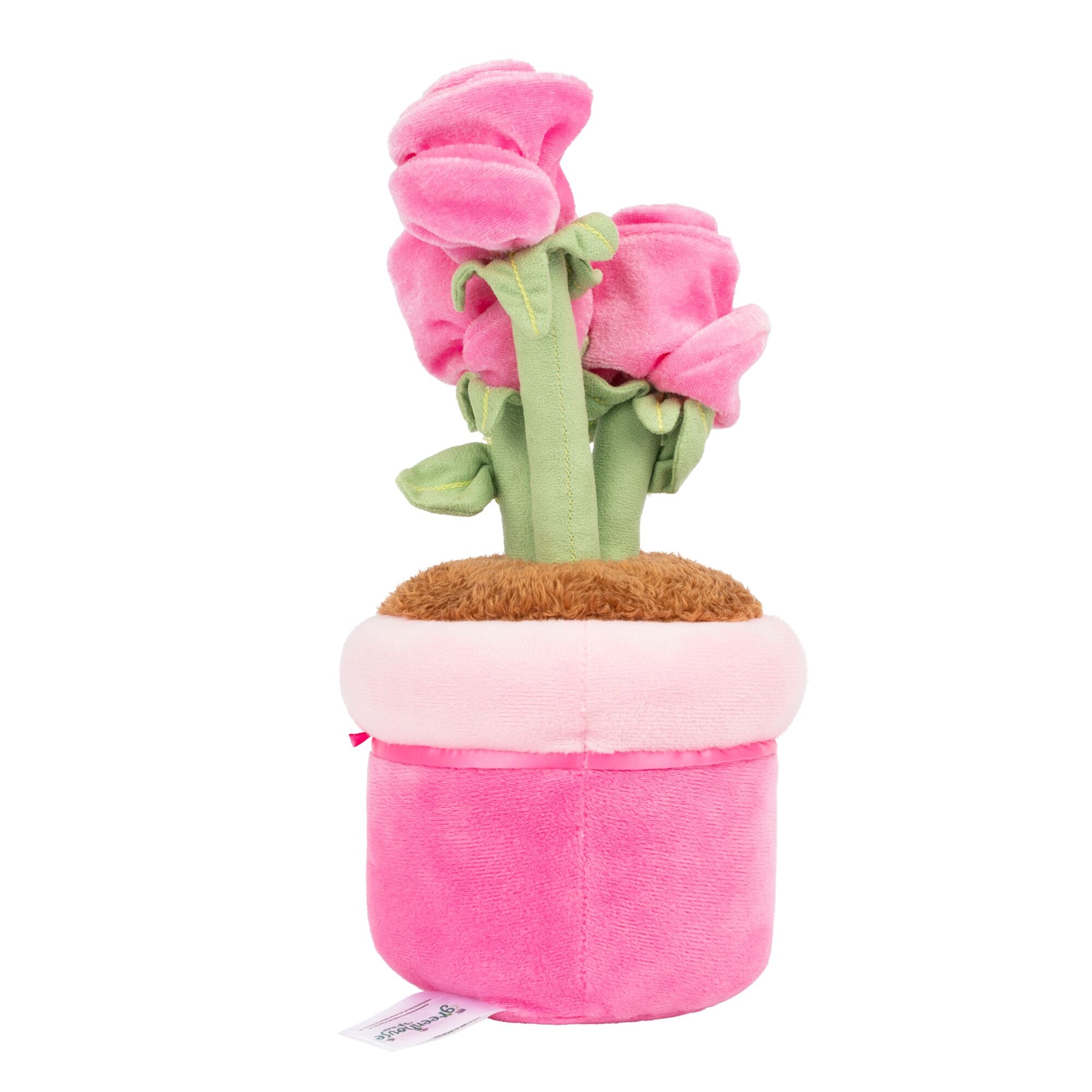 JPGOutput-RBGH00128-RBGH00182_12inRussValentineRoses_OPB.jpg