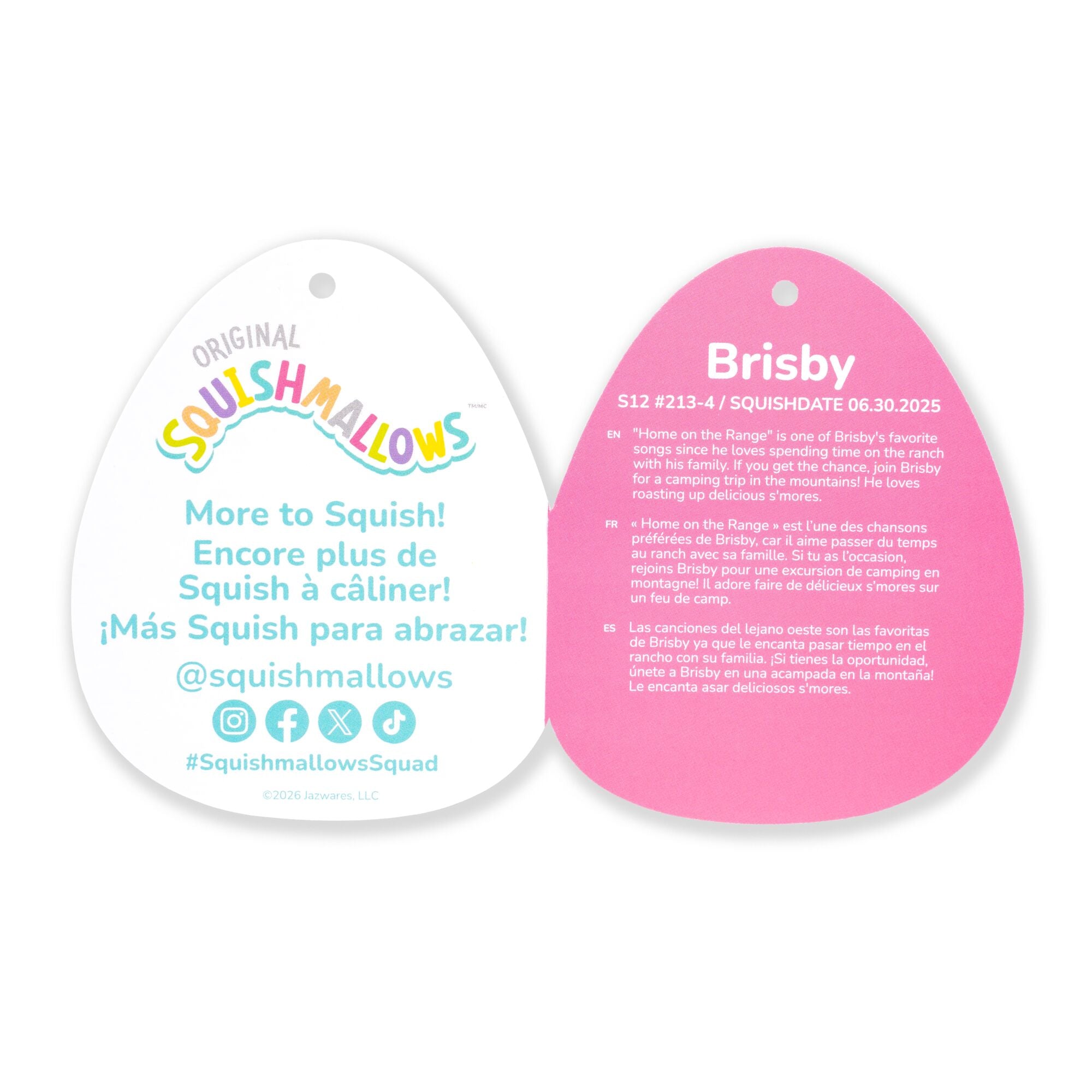 JPGOutput-SQVA01888_12inBrisbyBrownHorsewithBoloTieandHeartEyepatch_TAG2.jpg