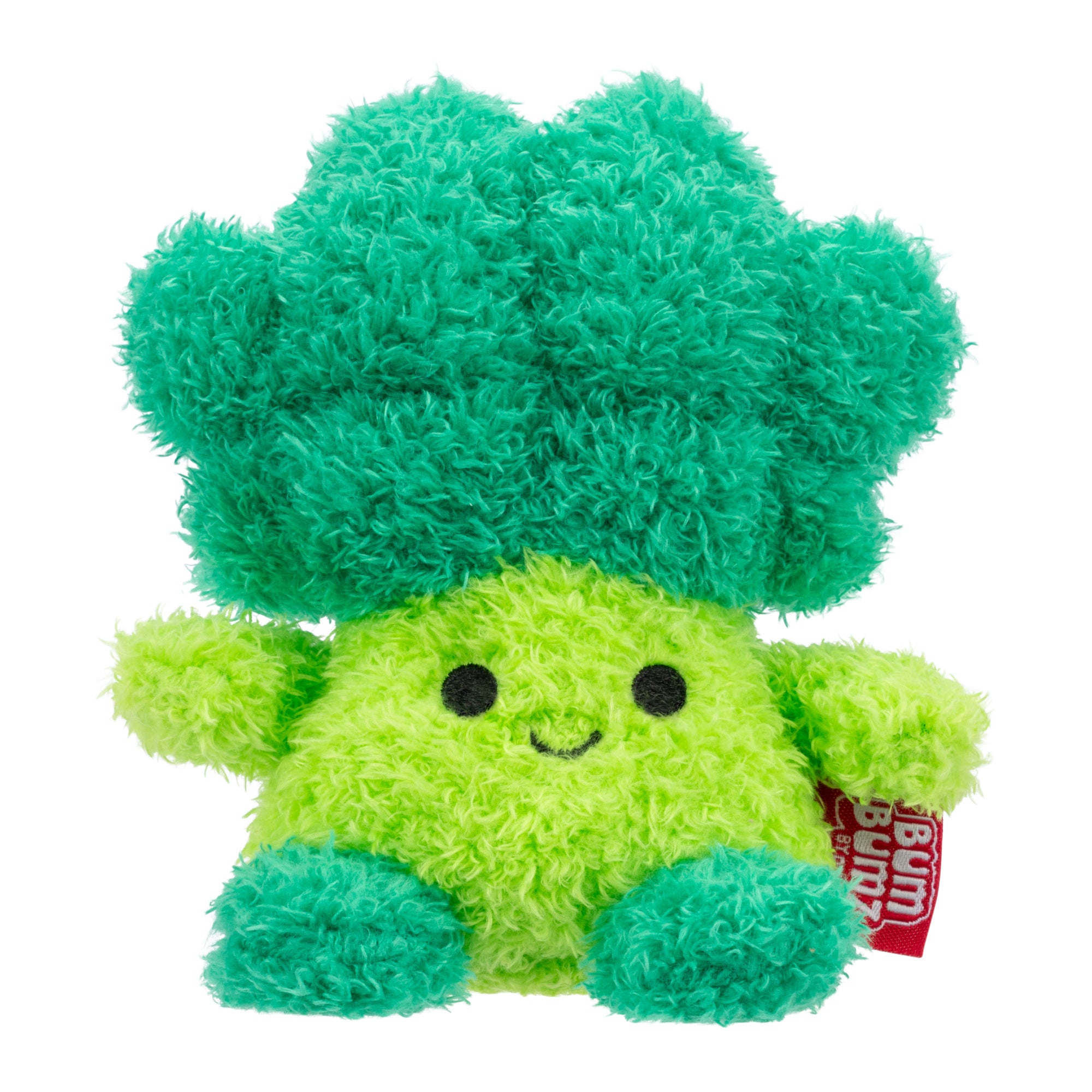 RBBZ00041-BumBumz-4-5-Inch-Plush-Broccoli-Bobby-OP-Front_c3e482cc-2f17-45de-92fb-3851d17a1957.jpg