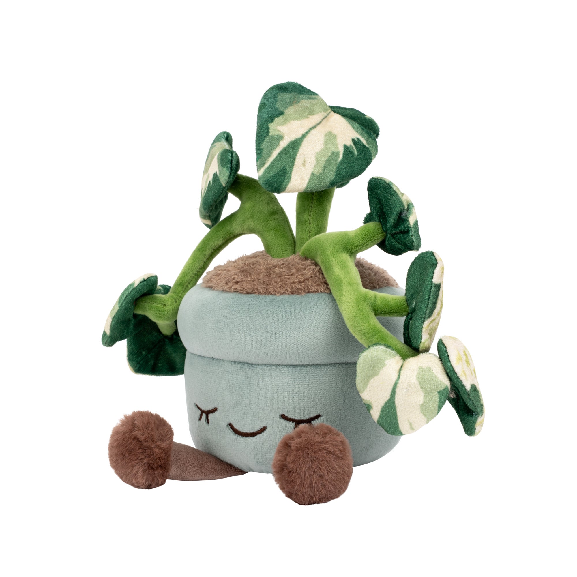 RBGH00172_12in-Russ-Pothos-Flower_OP3QL.jpg