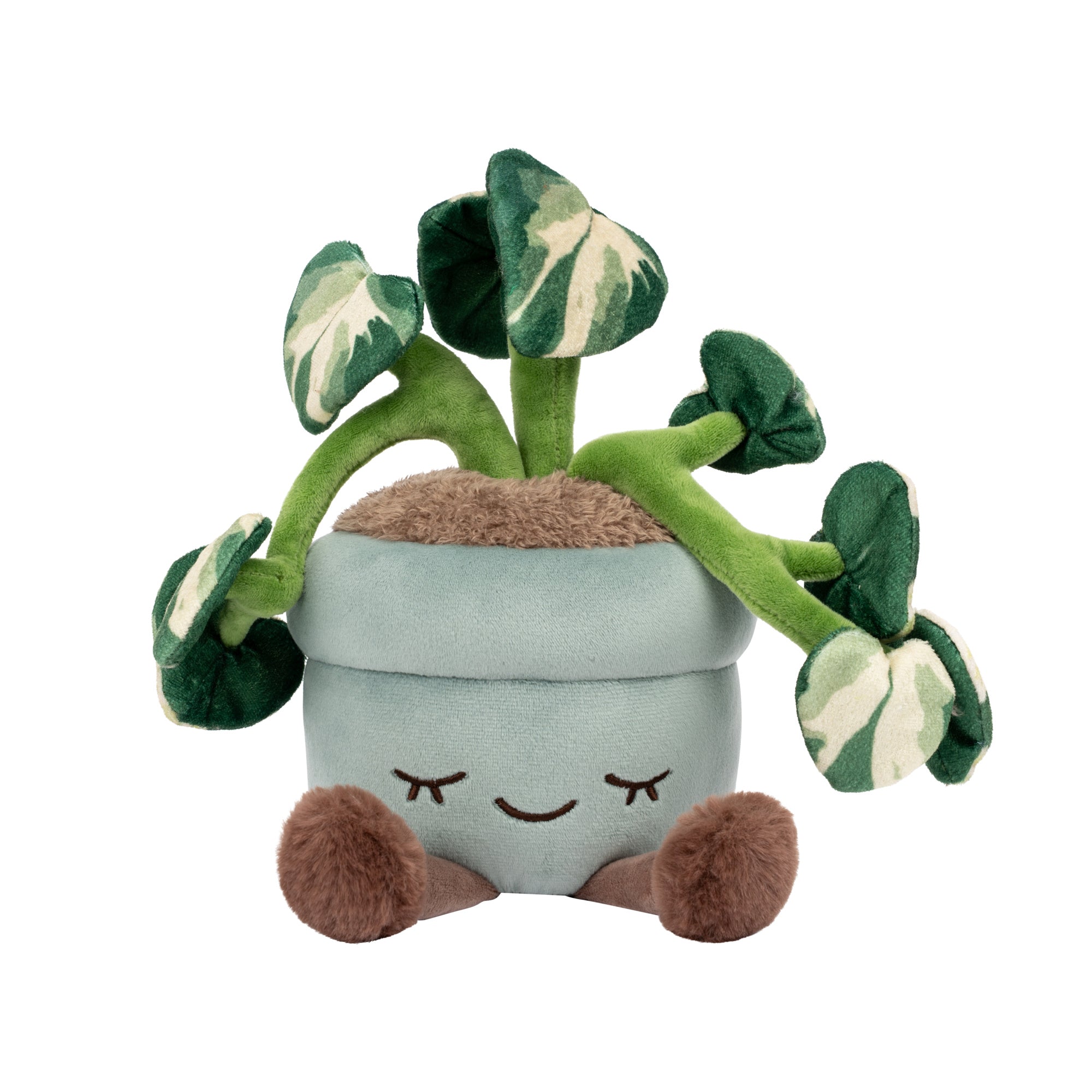 RBGH00172_12in-Russ-Pothos-Flower_OPF.jpg