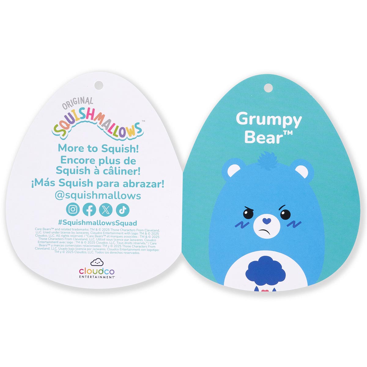 SQCB00038_Squishmallows12inCareBearsGrumpyBear_TAG2_lpr.jpg