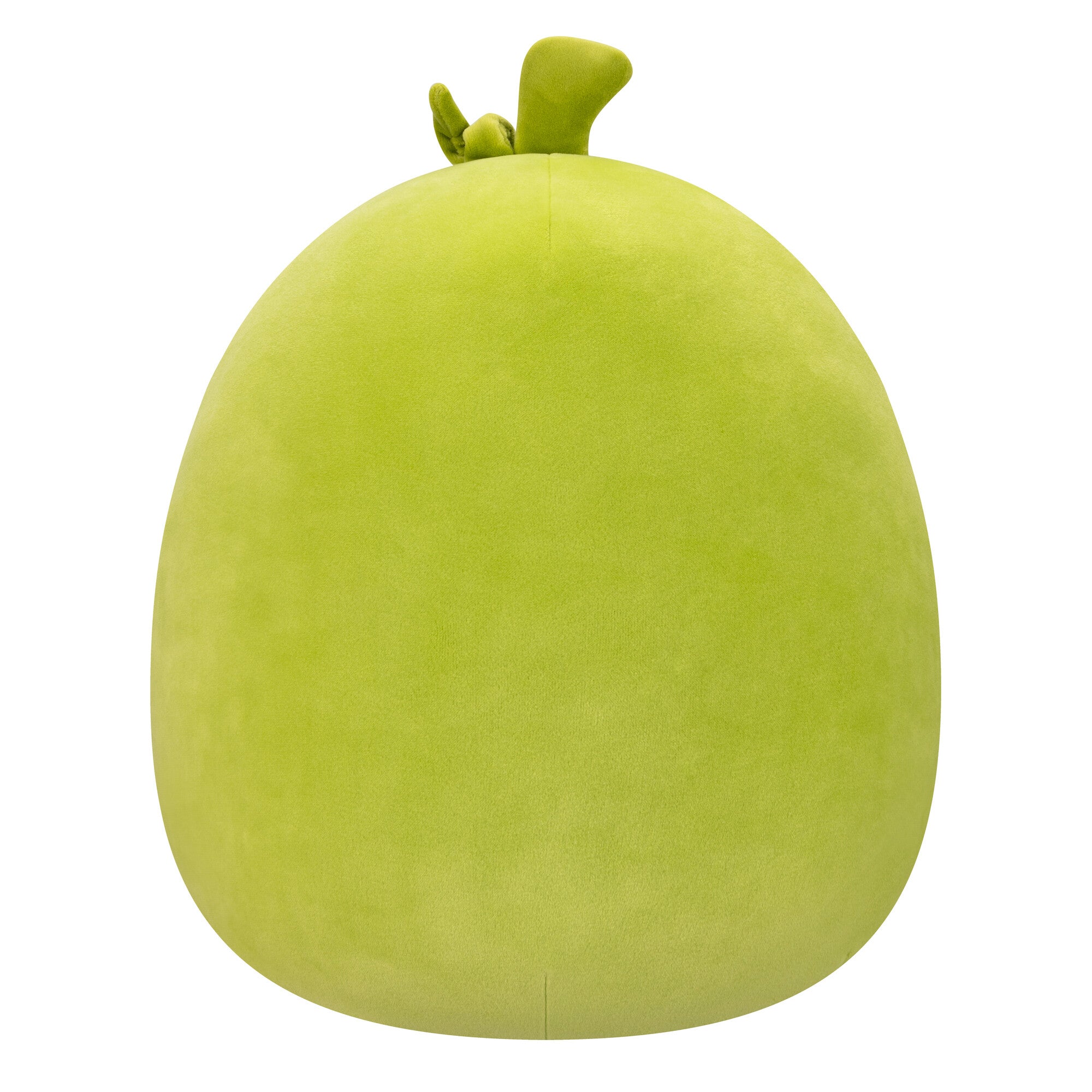 SQCR03794NewSSQK-Squishmallows-Charles-PickleWMustache-12inchMediumPlush-OP-Back_lpr.jpg