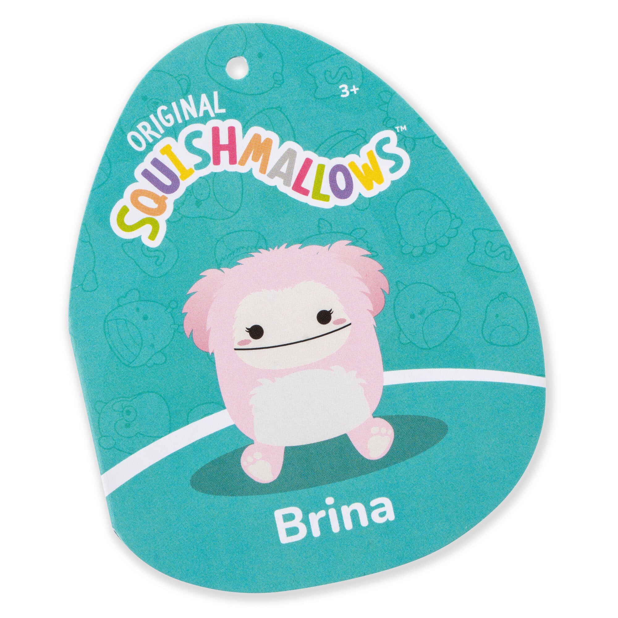 SQCR05536SQK-Squishmallows-5inchLittlePlush-10-Pack-Brina-Amazon-OP-Tag_lpr.jpg