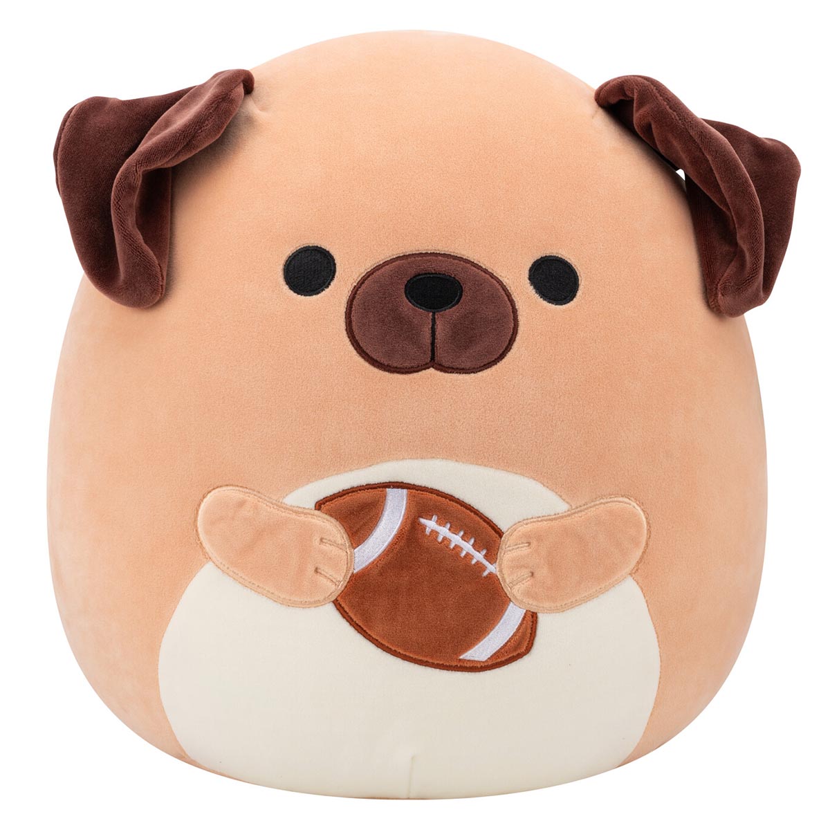 SQCR08370_14inDarylBrownDogHoldingFootball_OPF_lpr_0d4415c6-67f5-4088-86b7-37940cde568c.jpg