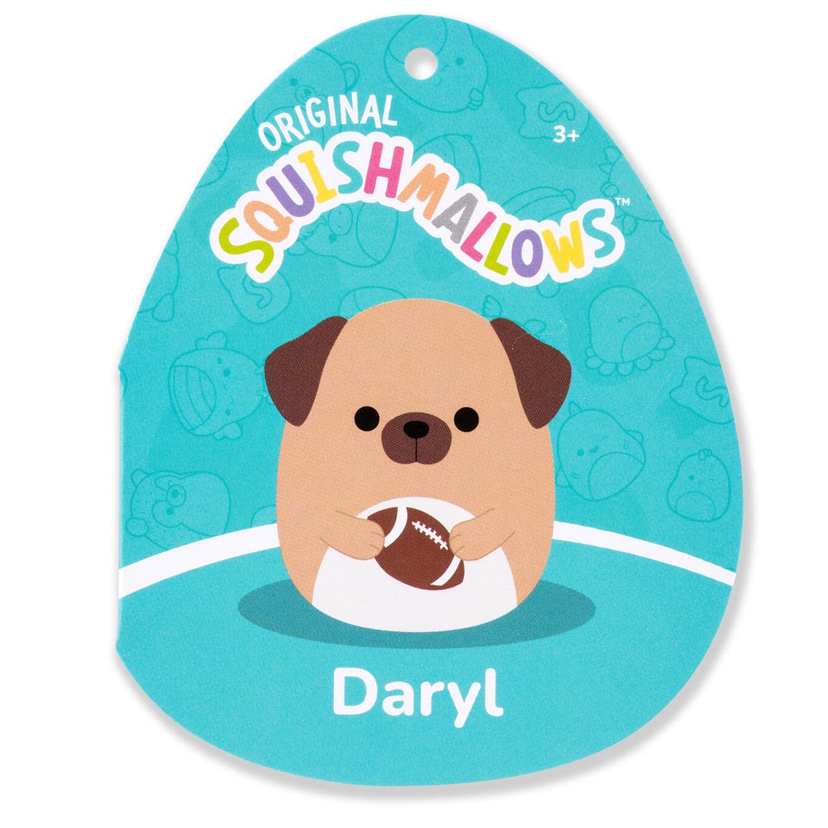 SQCR08370_14inDarylBrownDogHoldingFootball_TF_lpr.jpg
