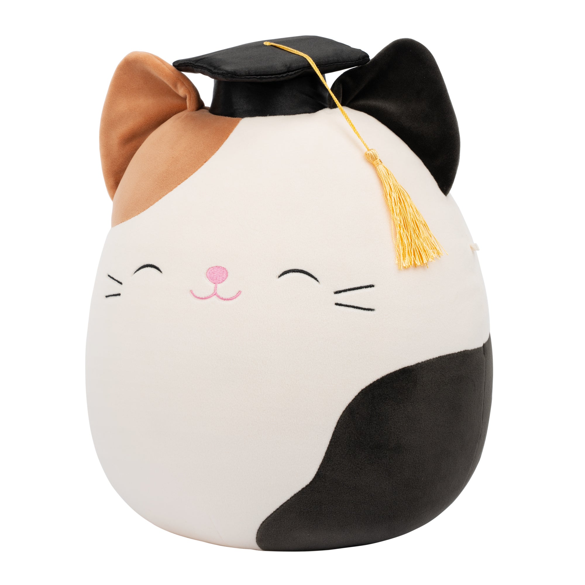 SQCR09743_12in-Cam-Brown-And-Black-Calico-Cat-with-Black-Graduation-Cap_OP3QL.jpg