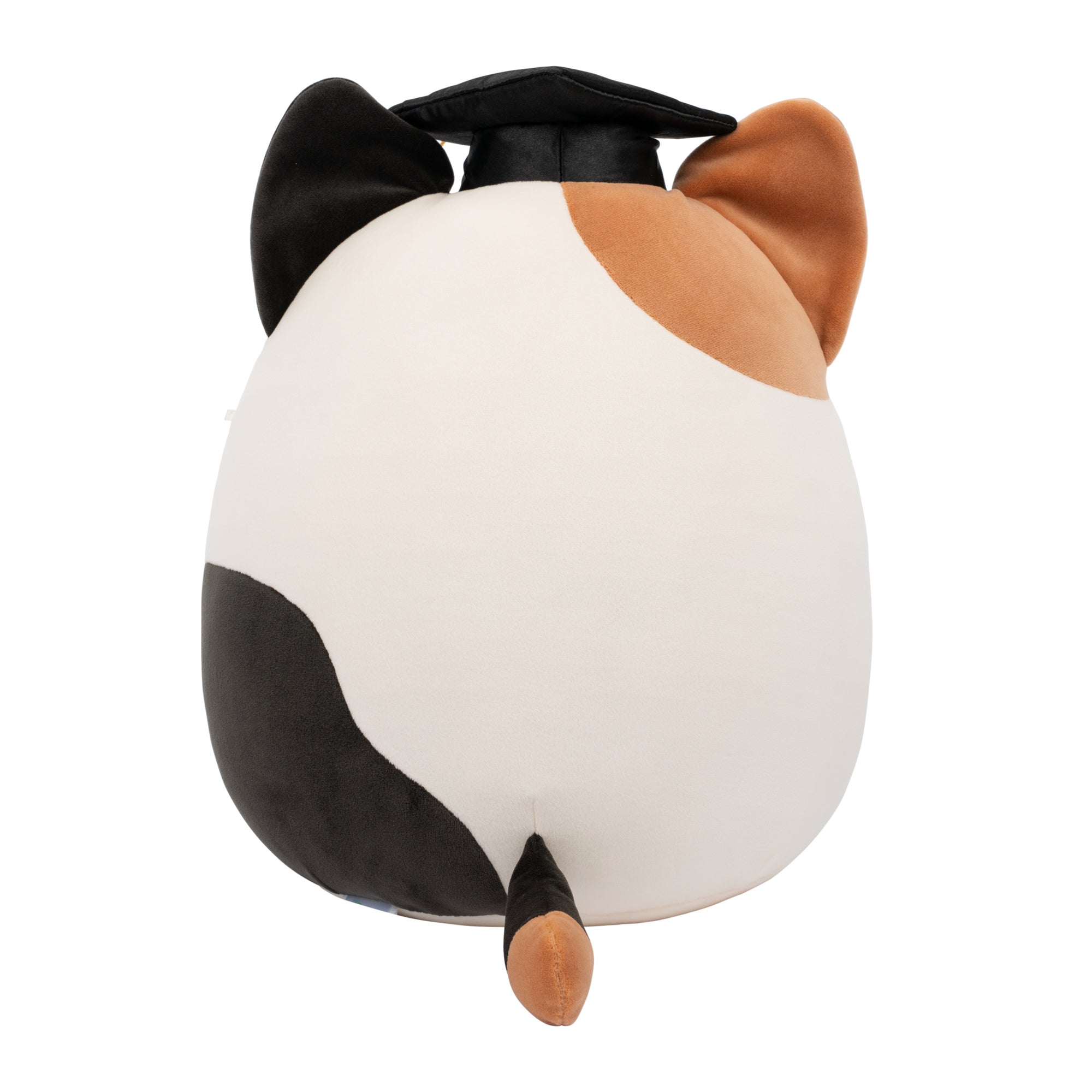 SQCR09743_12in-Cam-Brown-And-Black-Calico-Cat-with-Black-Graduation-Cap_OPB.jpg