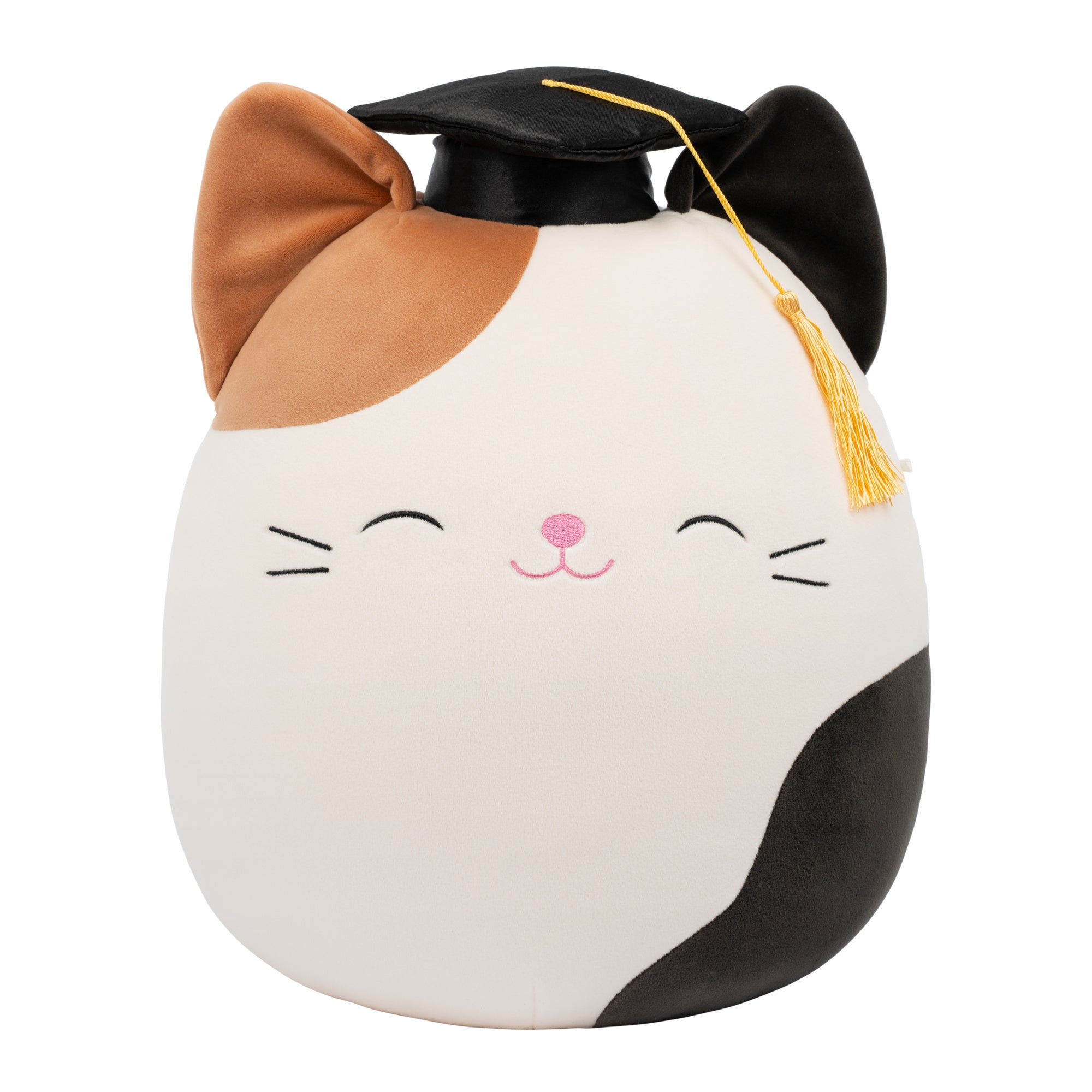 SQCR09743_12in-Cam-Brown-And-Black-Calico-Cat-with-Black-Graduation-Cap_OPF.jpg