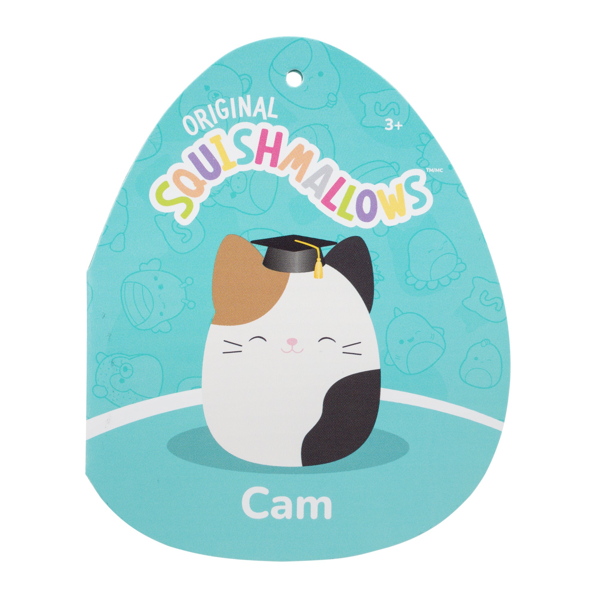 SQCR09743_12in-Cam-Brown-And-Black-Calico-Cat-with-Black-Graduation-Cap_TF.jpg