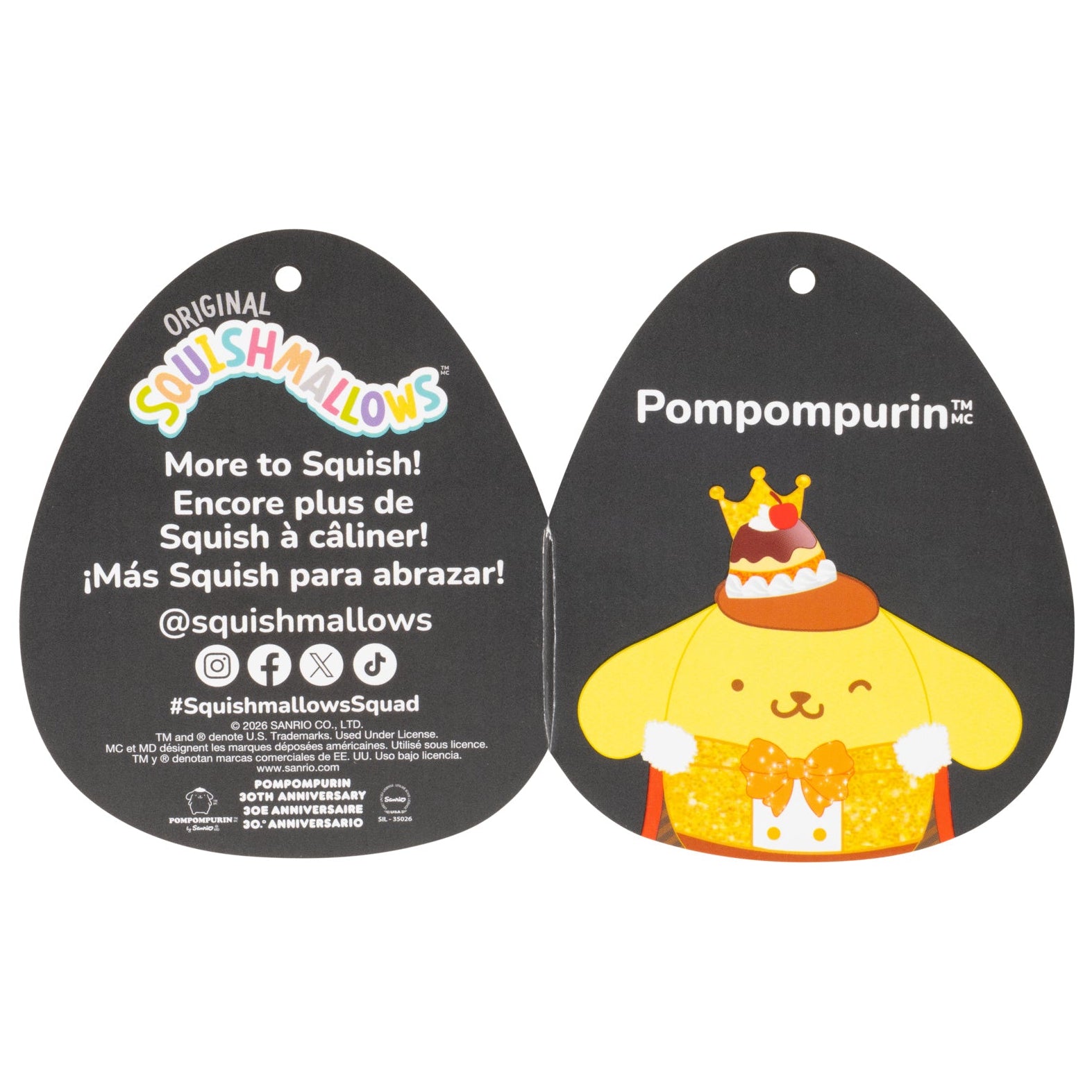 SQSN01236_Hello-Kitty-and-Friends-Pompompurin-Anniversary_TAG2.jpg