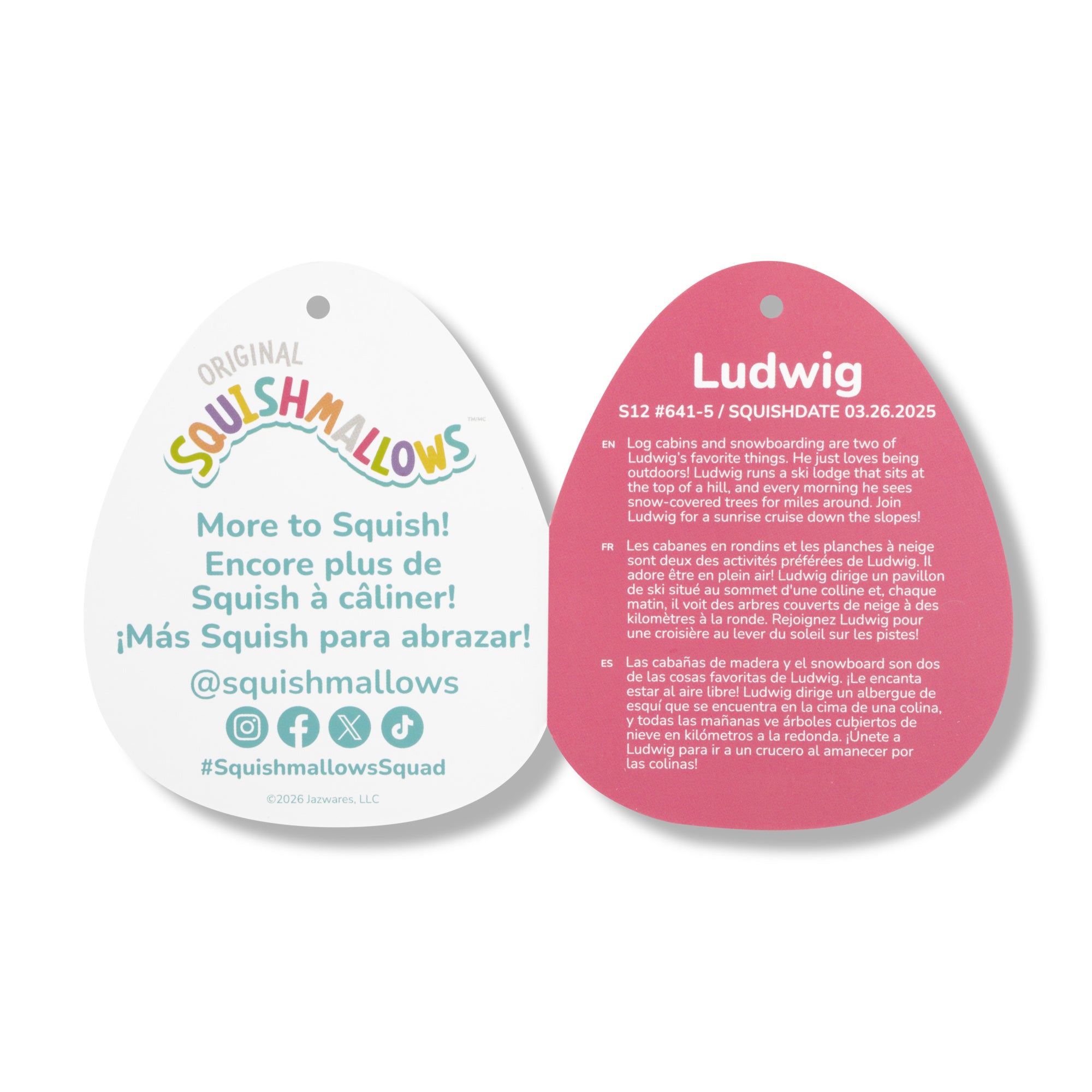 SQVA01597_SQVA01892_12in-Squishmallows_Ludwig_Teal-Frog-Holding-Rose_SIOC_TAG2.jpg