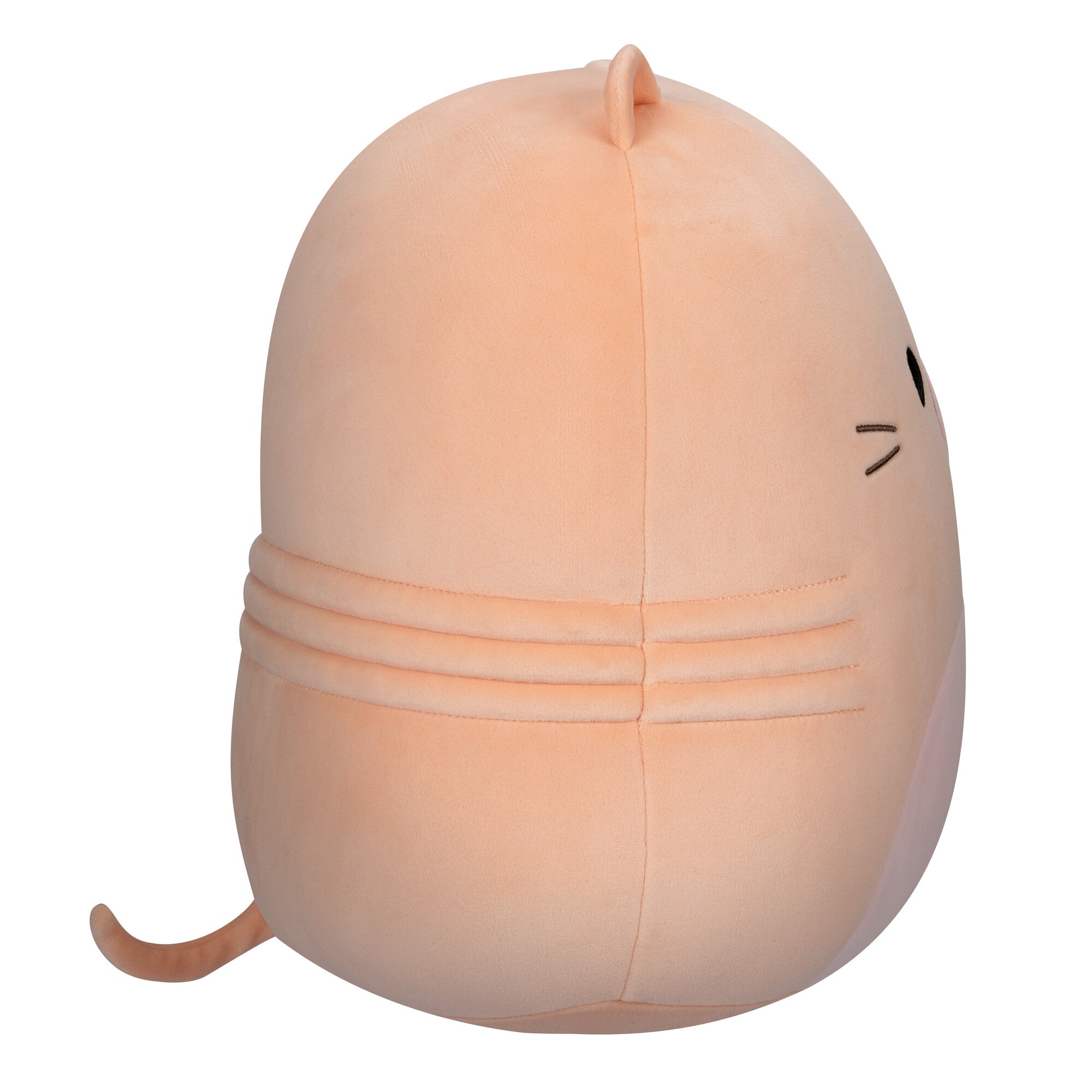 Squishmallows-MediumPlush_12_Squishmallows_-NakedMoleRat-SQCR03049-Right-lpr.jpg